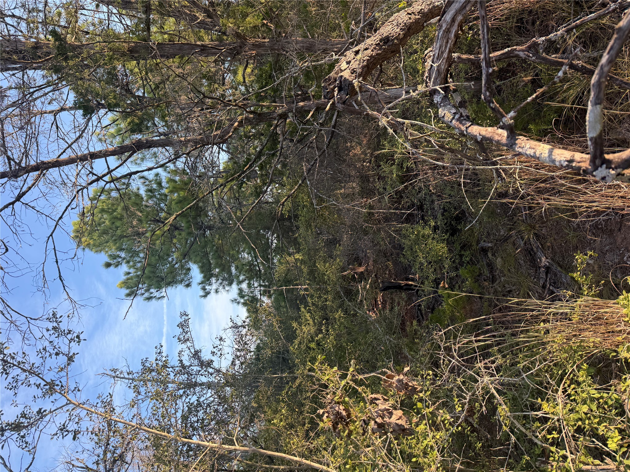 Photo of Listing #8010911