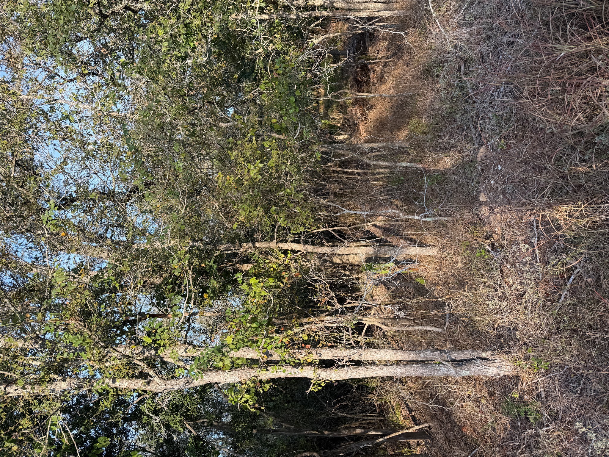 Photo of Listing #1260712