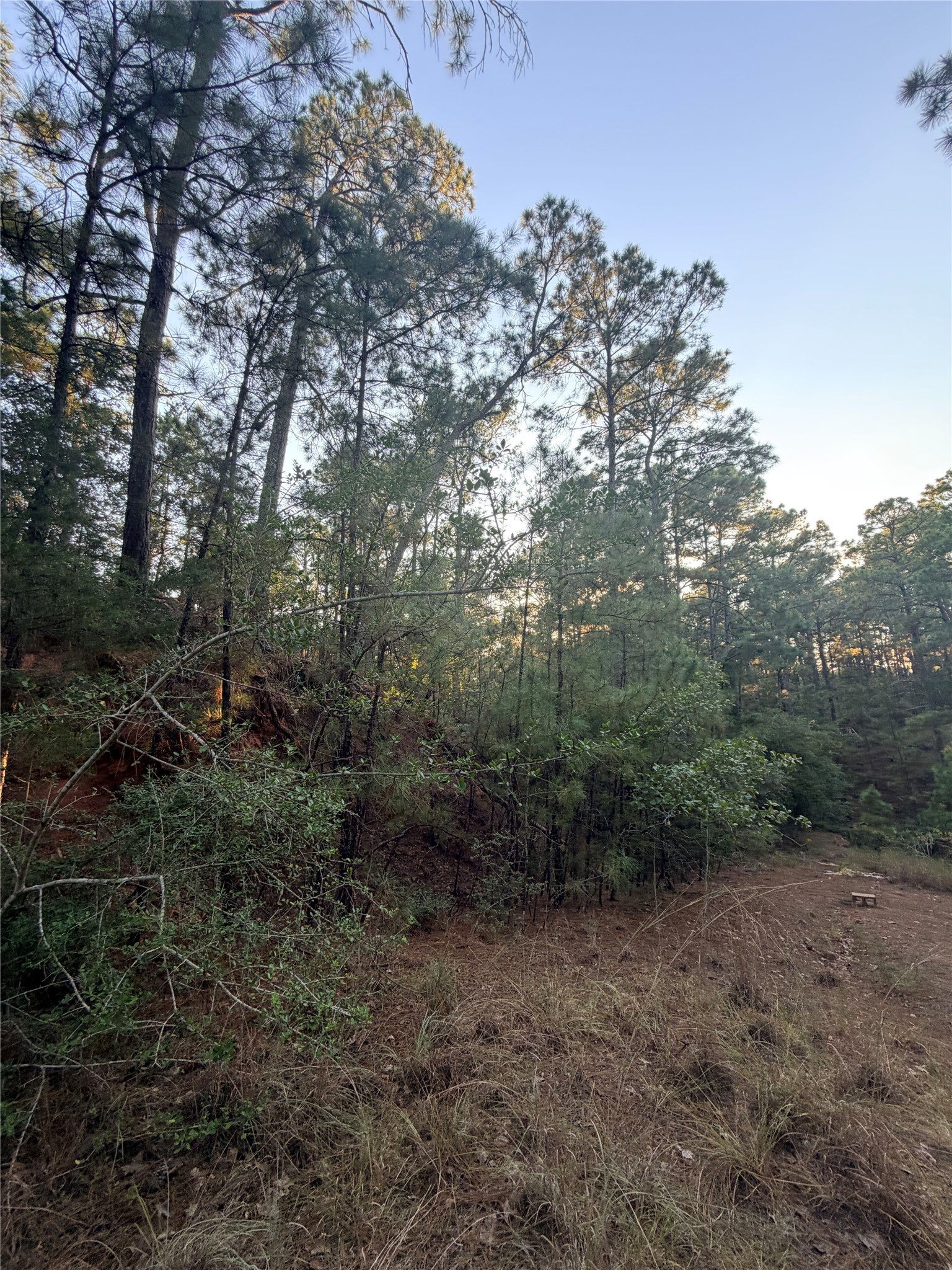 Photo of Listing #1174594