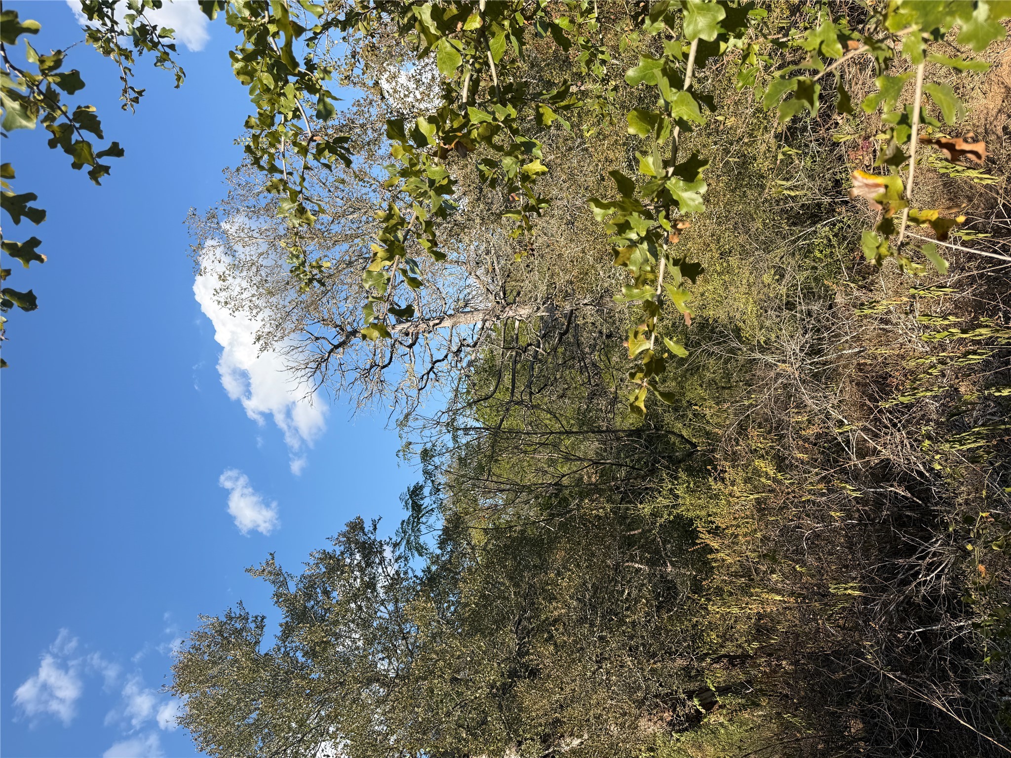 Photo of Listing #7757954