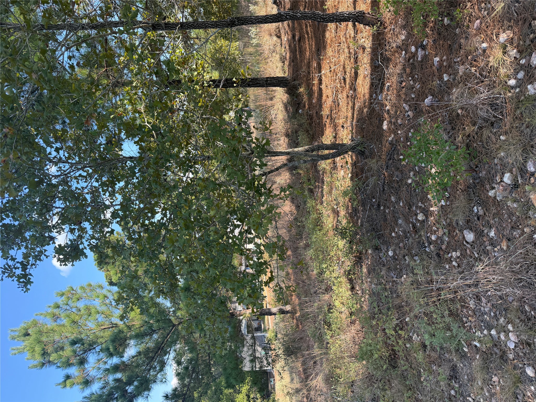 Photo of Listing #5755151