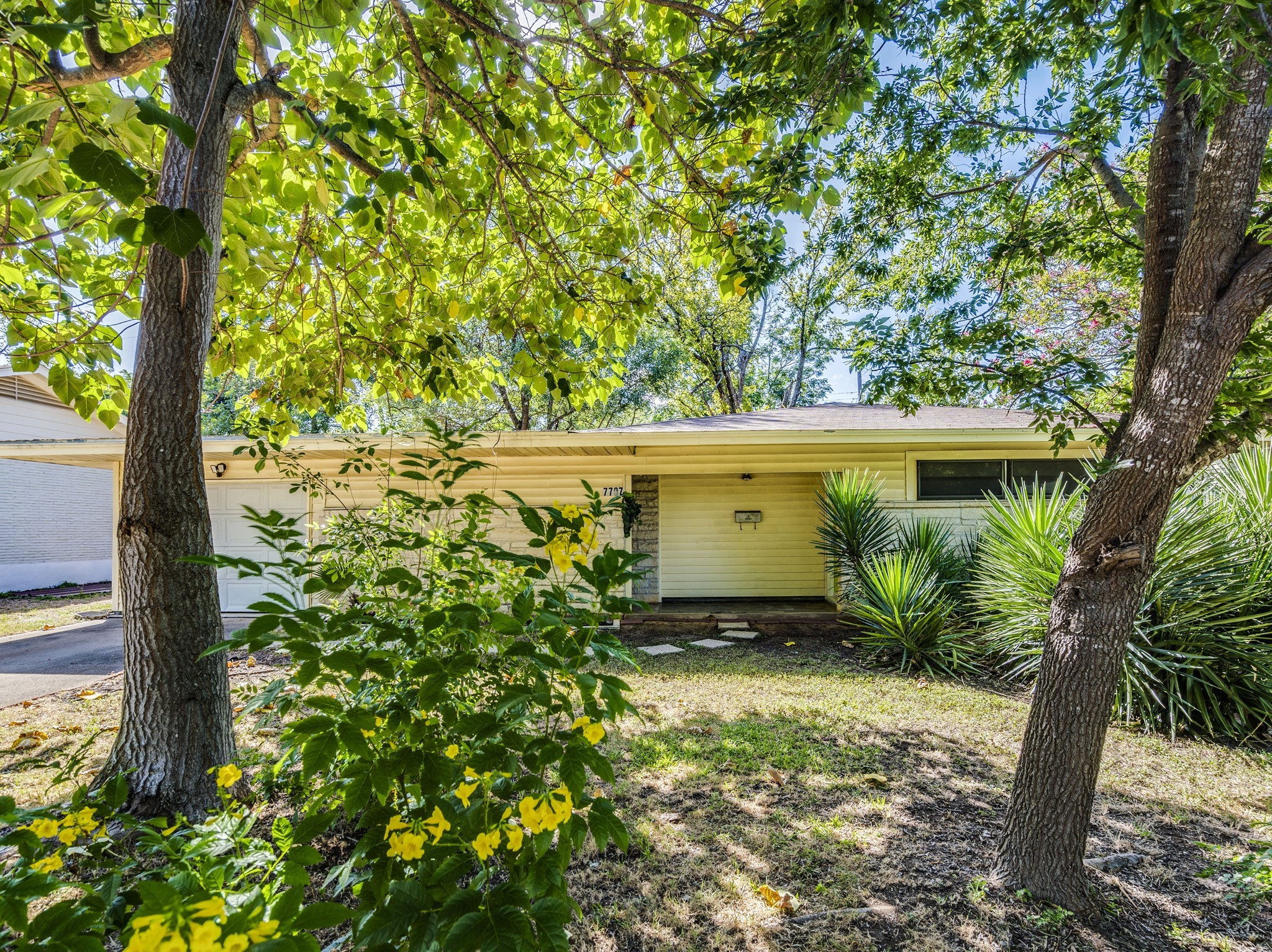 Photo of Listing #8970555