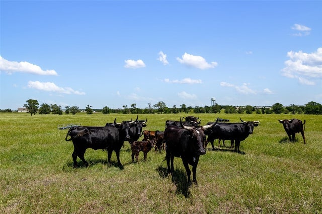 12400 (170.01a) County Line Road, Elgin