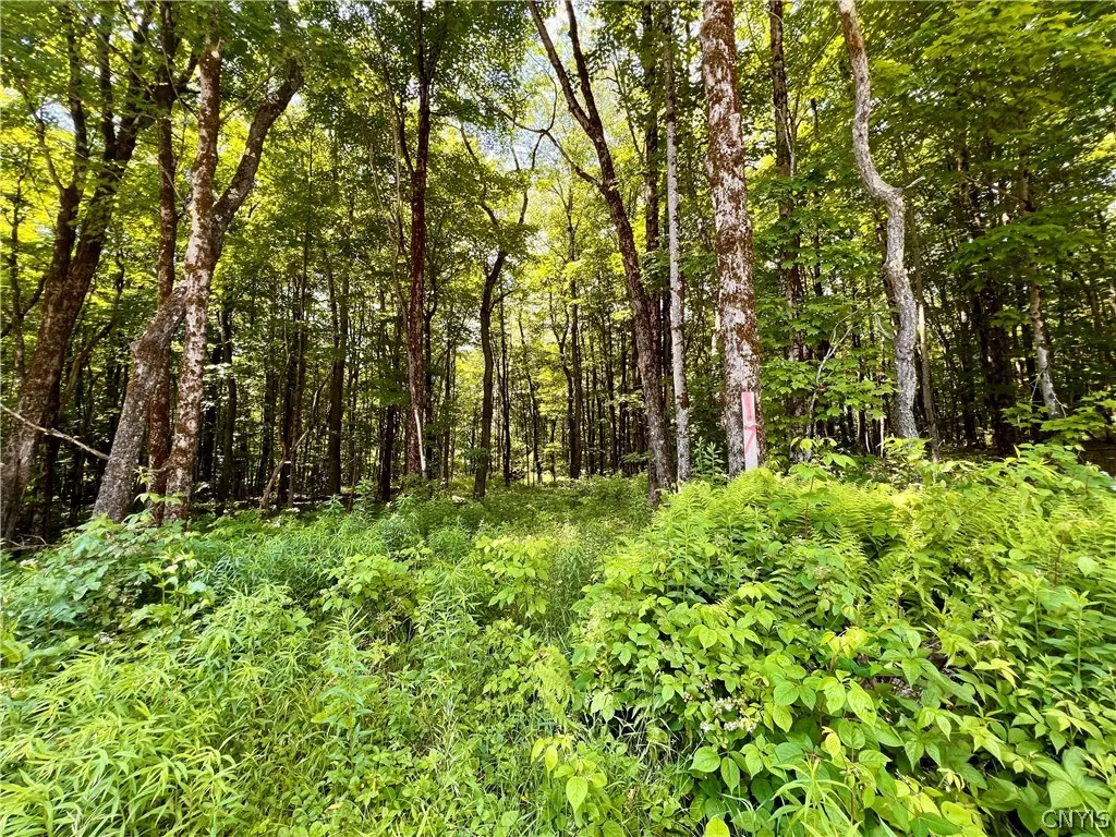 Photo of Listing #S1545136