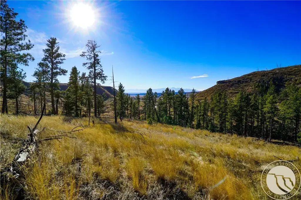 Dry Hole Trail, Reed Point