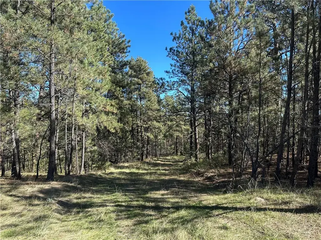 Tbd Smith Ct, Roundup