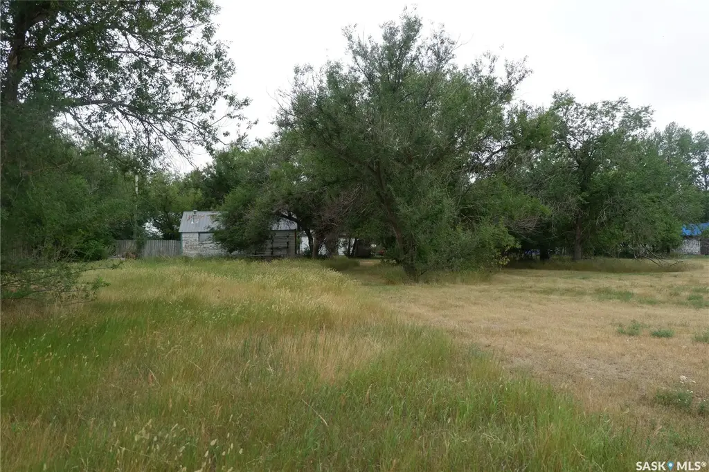 4 & 6 Elziar Street, Willow Bunch Rm No 42