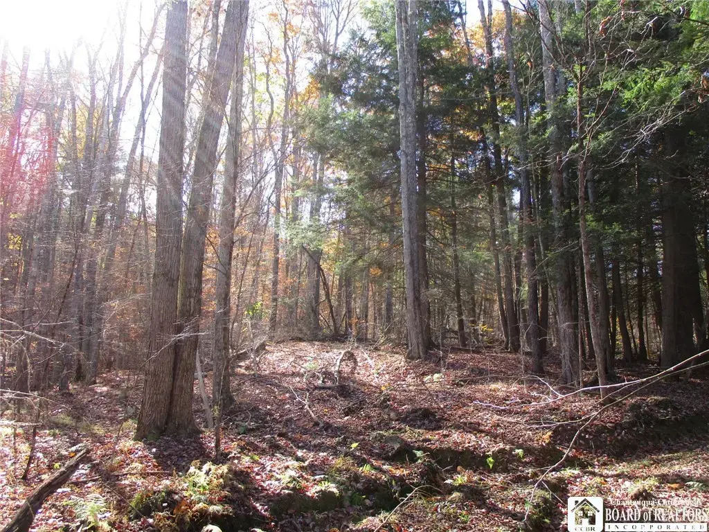 Gordon Brook, Scio