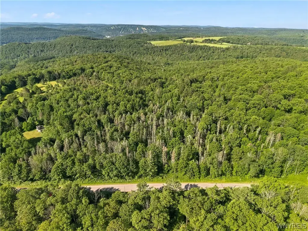 Irish Hill Road, Ellicottville