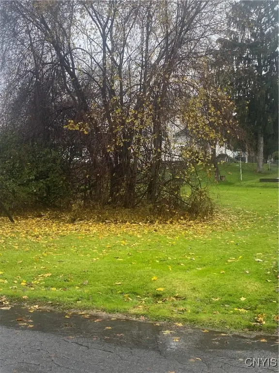 Photo of Listing #S1650265