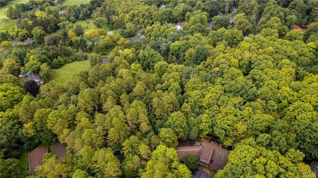 Photo of Listing #S1655199