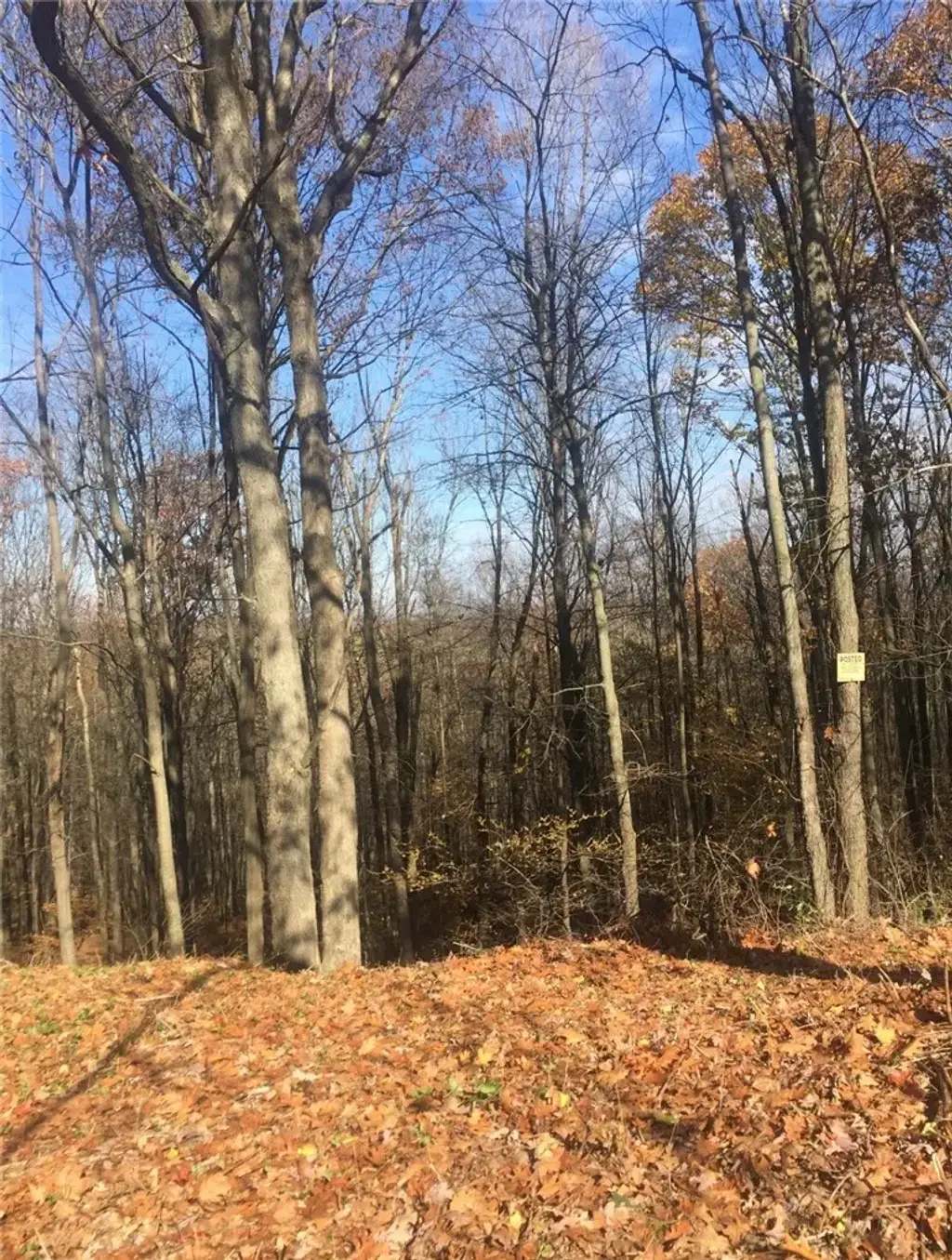 370 West Hill #a Road # A E, Big Flats