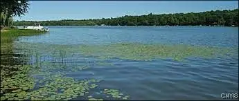 Photo of Listing #S1658440