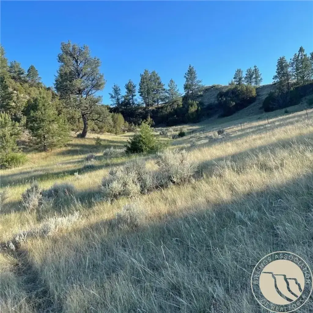 Tbd Gribben Road, Custer