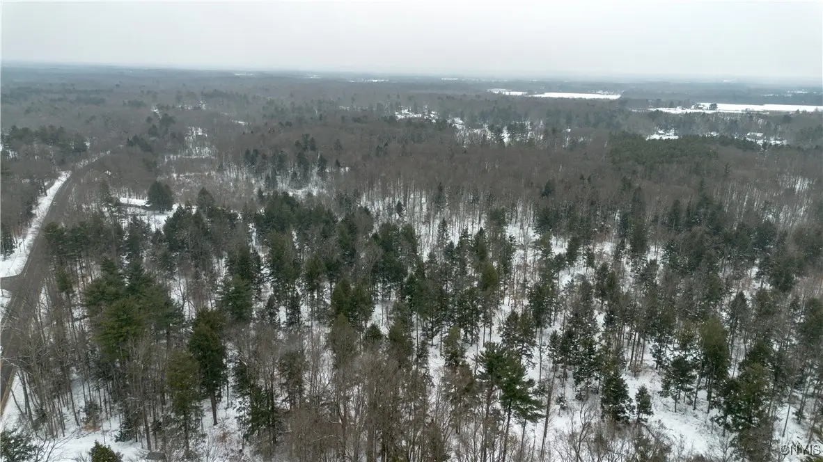 Photo of Listing #S1658704