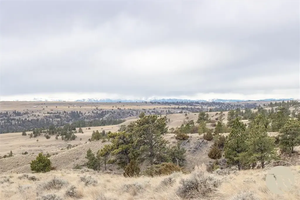 Rocky Ridge Road, Molt