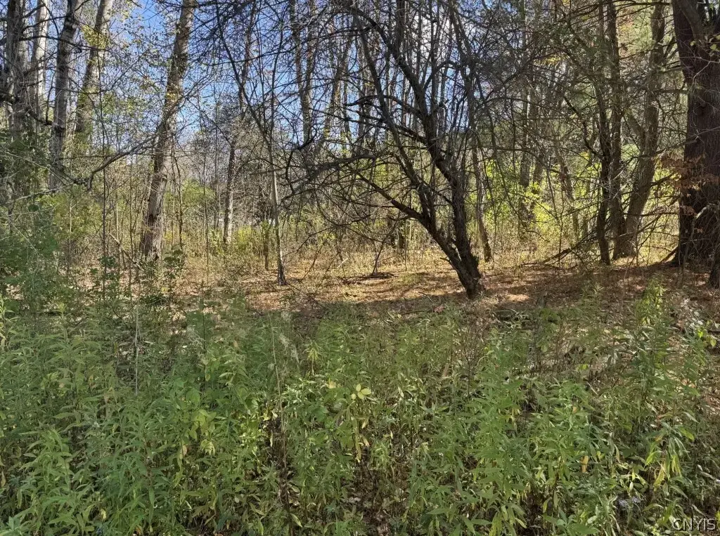 4755 Fay Hollow Road, Humphrey