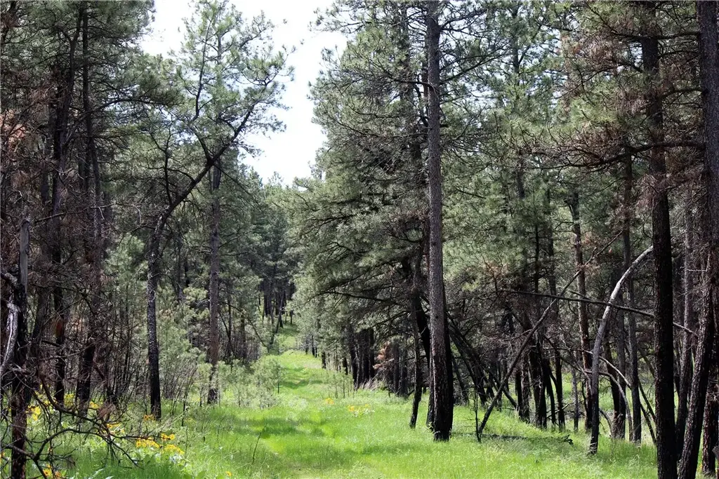Nhn Deer Lane, Roundup