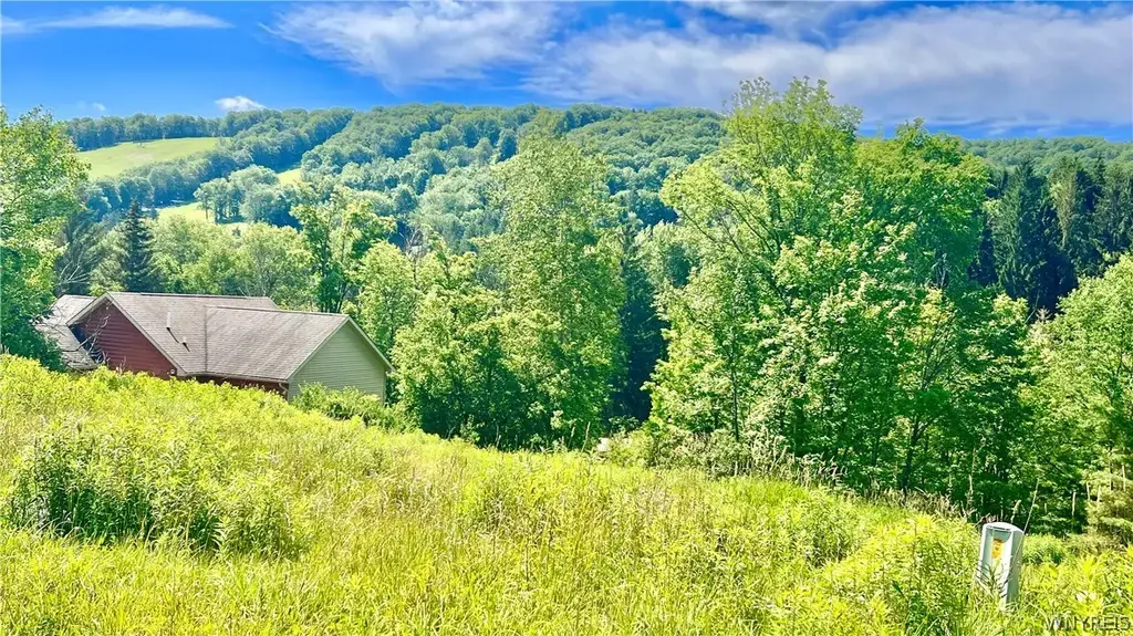 6843 Springs Road, Ellicottville