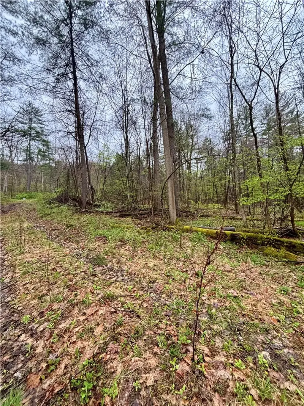 2093 Scott Road, Erwin