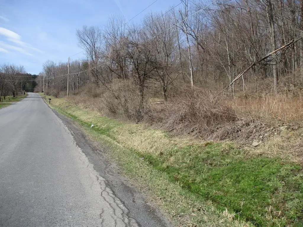 188 Orchard Hill Road, Horseheads
