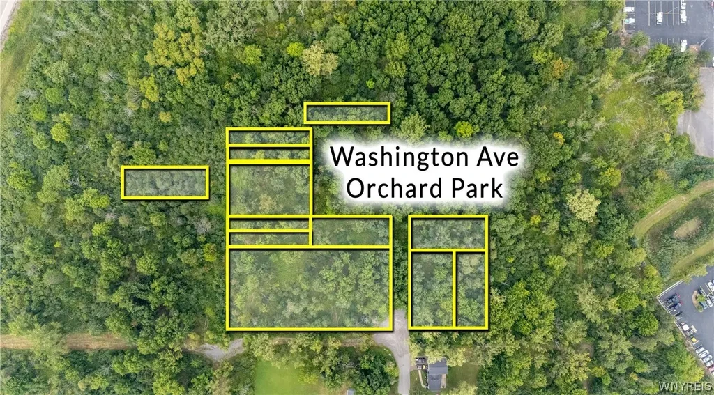 Washington Avenue, Orchard Park