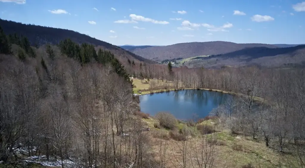 1855 Davis Hollow Road, Andes