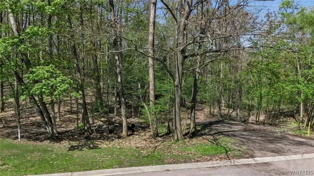 Vl Middlebury, Orchard Park