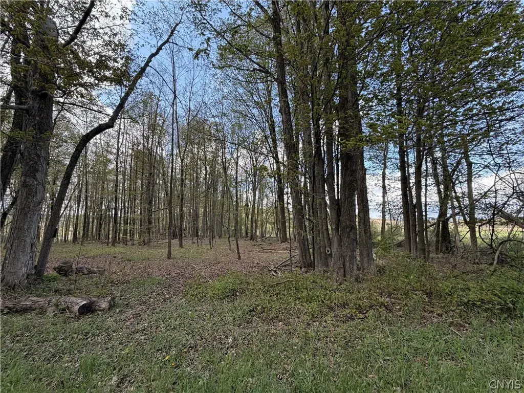 Rt-167, Warren