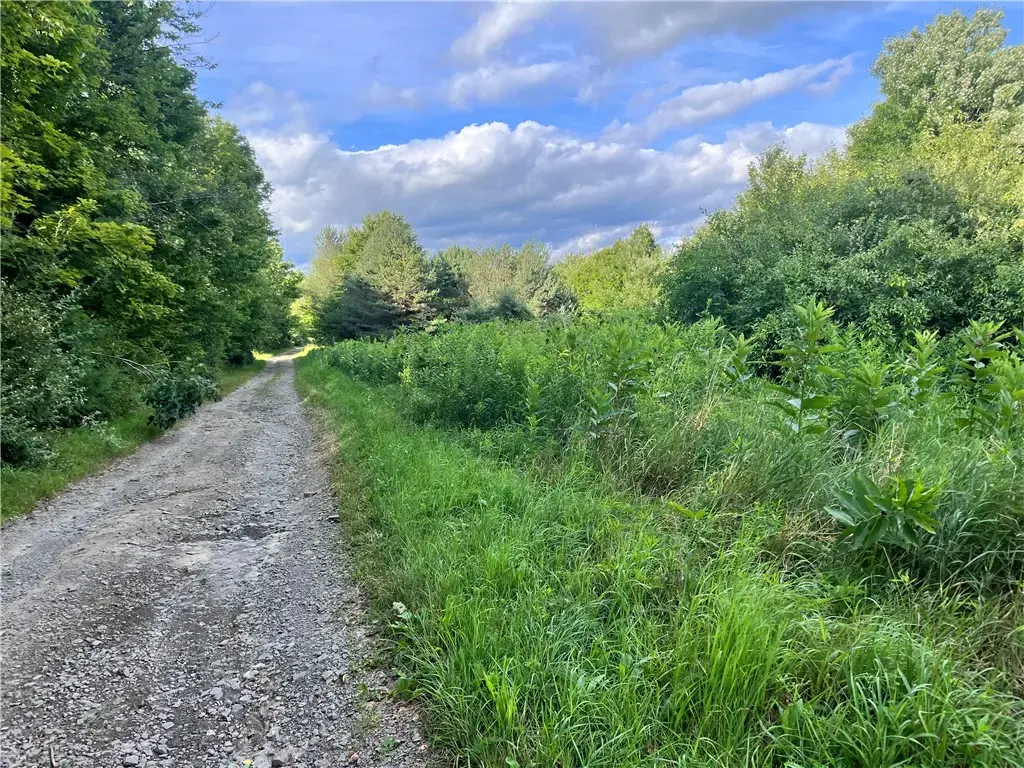 Greenbush Road, Erin