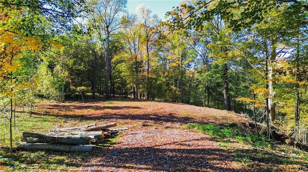 Harrison Avenue, Frankfort