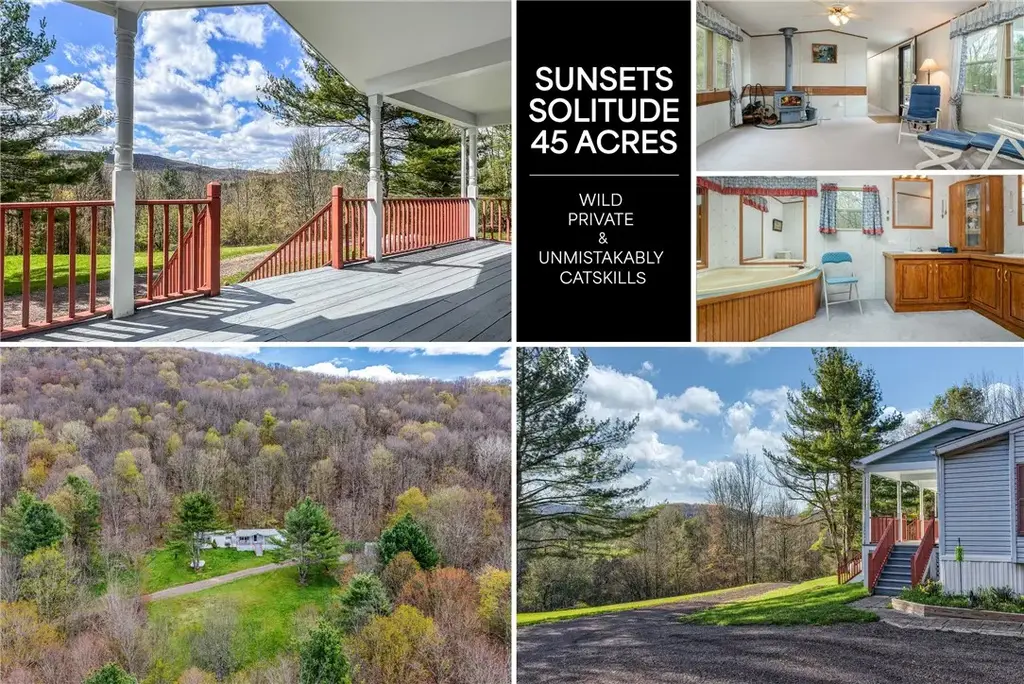 1264 Betty Brook Road, Kortright