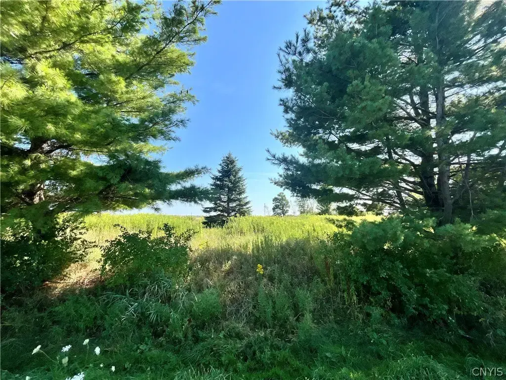 24458 Dano Road, Theresa