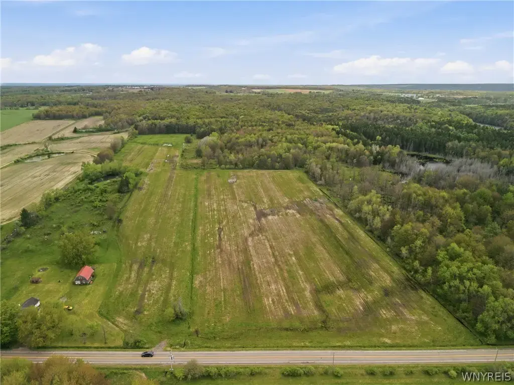 Genesee Road, North Collins