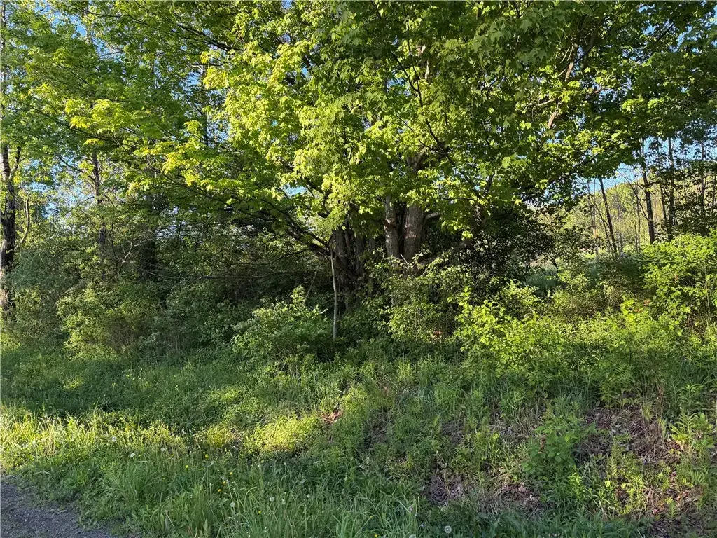 County Highway 4, Butternuts
