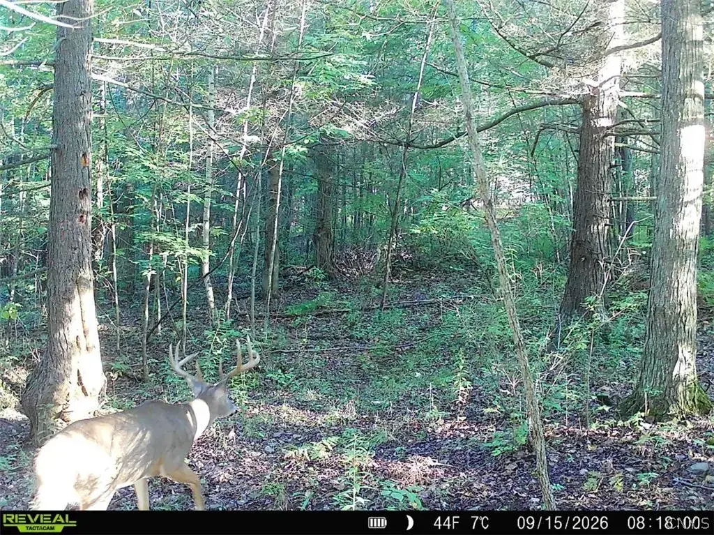 Stewart Road, Tuscarora