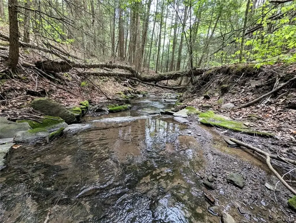 Stewart Road, Tuscarora