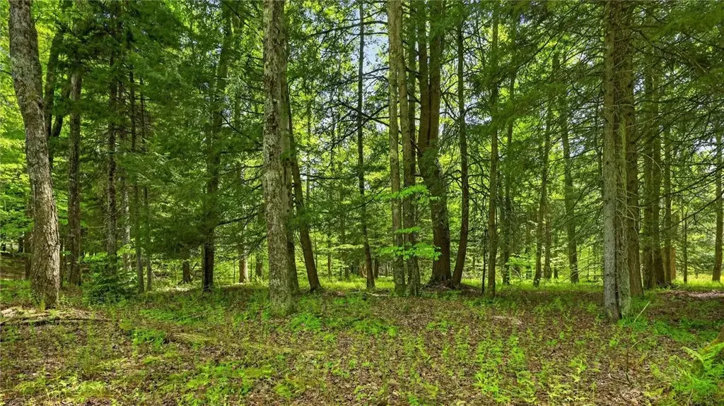 L1.6 Crystal Brook Path, Jefferson