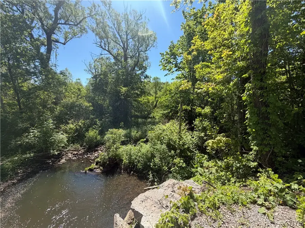 Townline Road, Onondaga