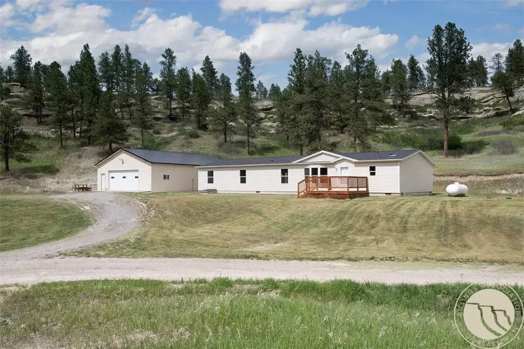 21 Big Buck Trail, Roundup