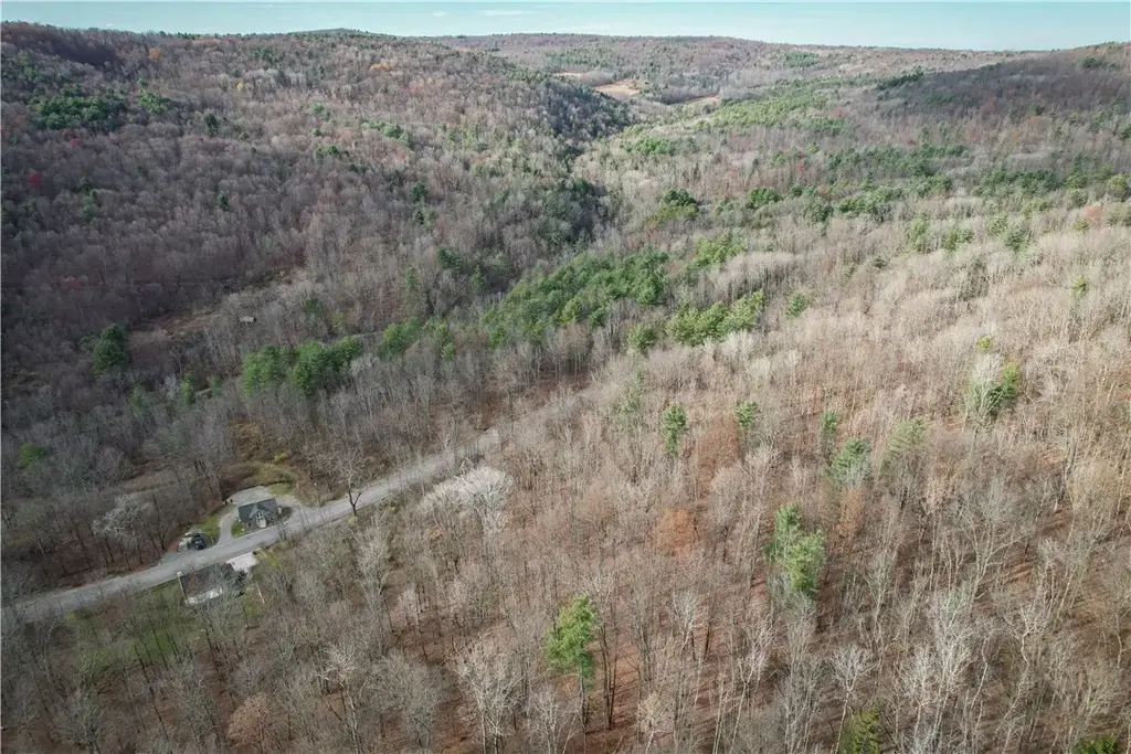 1188 Braybrook Road, Chemung