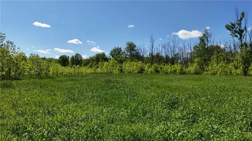 Dredge Ditch Road, Ellington
