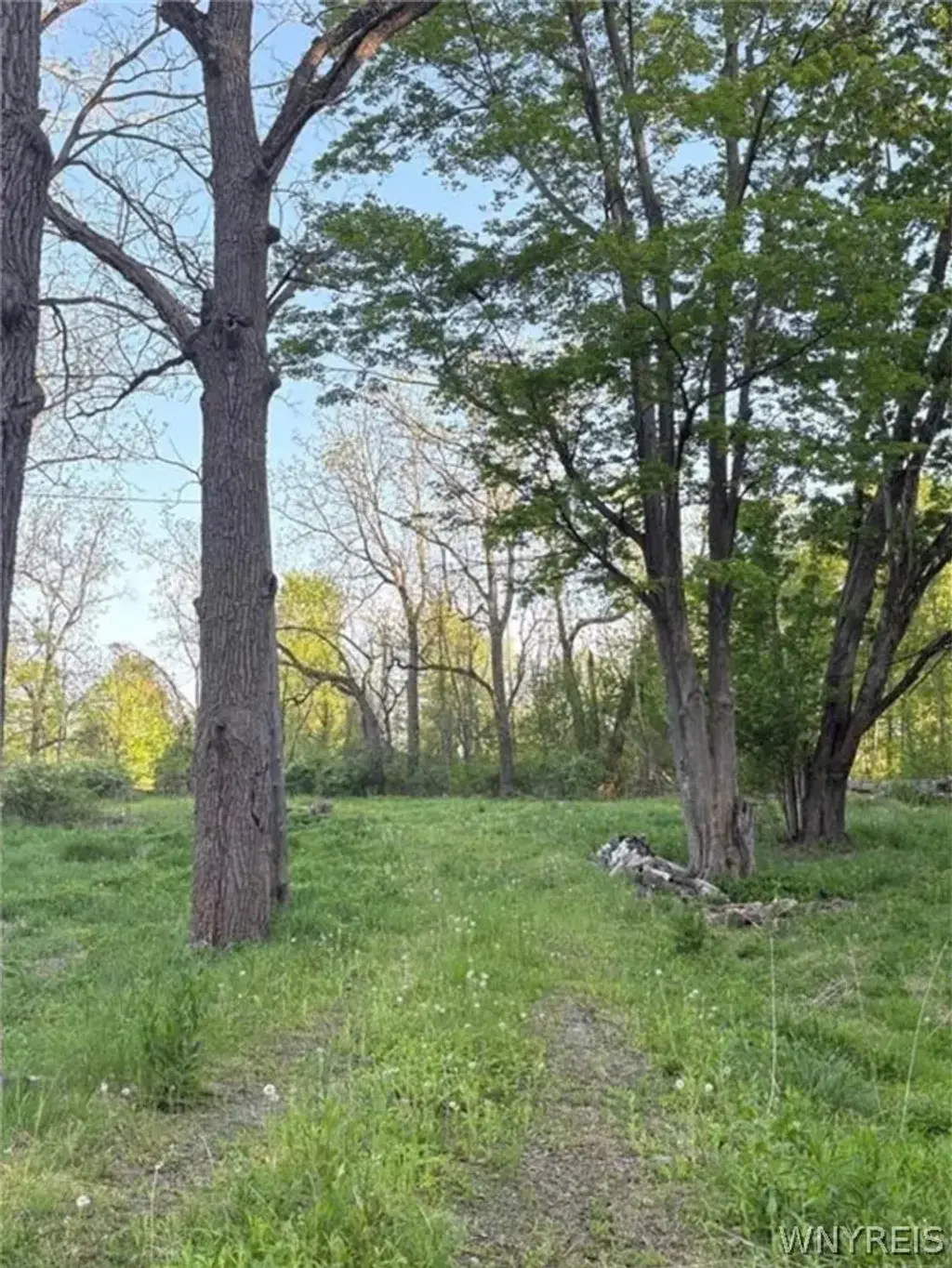 1441 Sturgeon Point Road, Evans