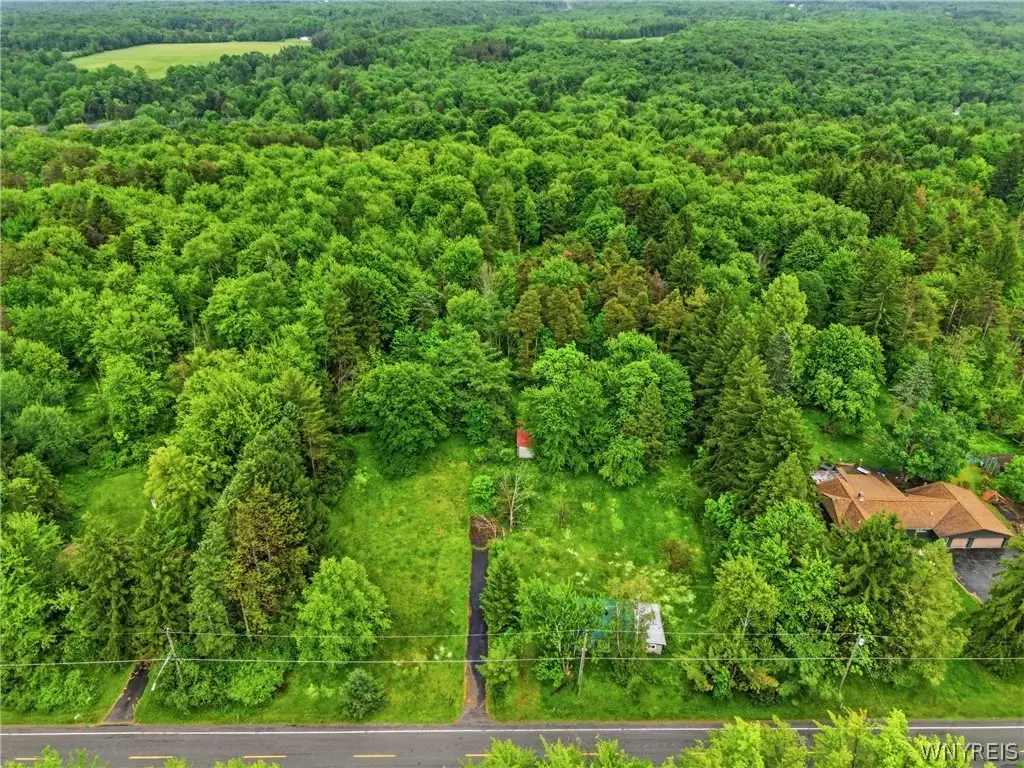 7499 Irish Road, Colden