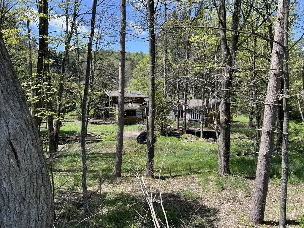 293 Lockwood Hill Road, Unadilla
