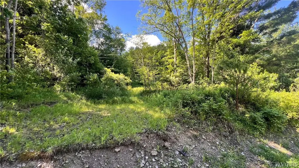 Cherry Valley Road, Allegany
