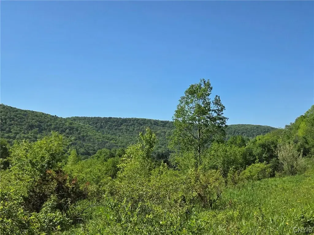 Nys Route 446, Hinsdale