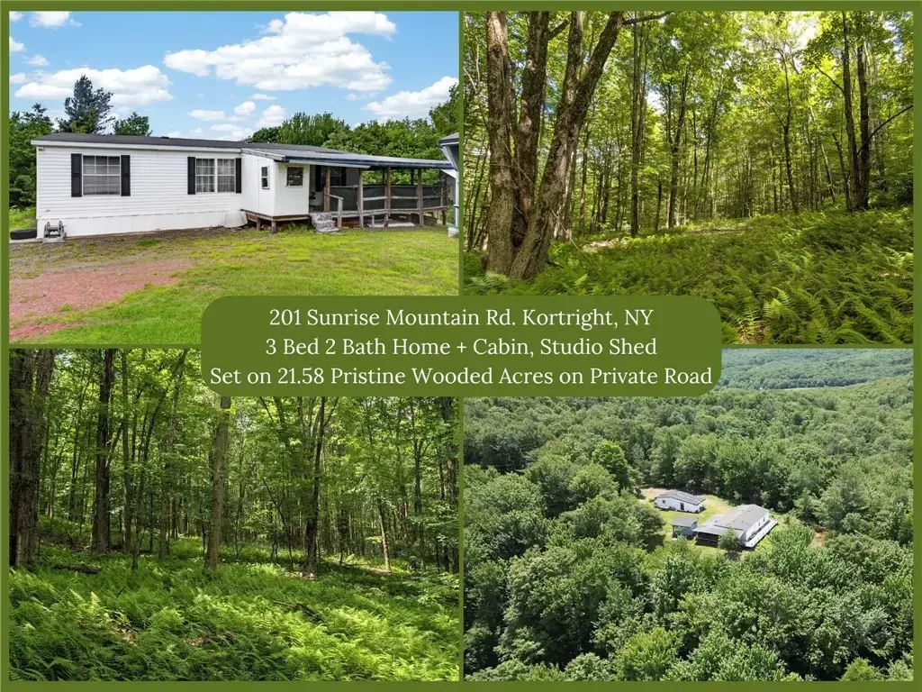 201 Sunrise Mountain Road, Kortright