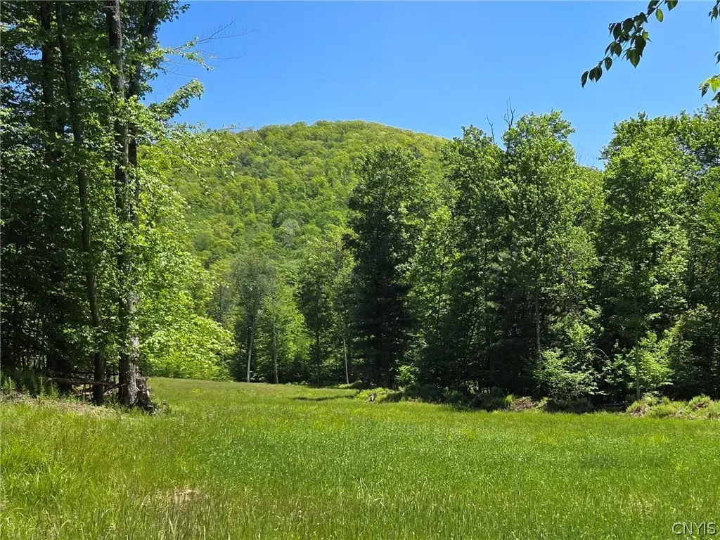Lillibridge Rd, Olean