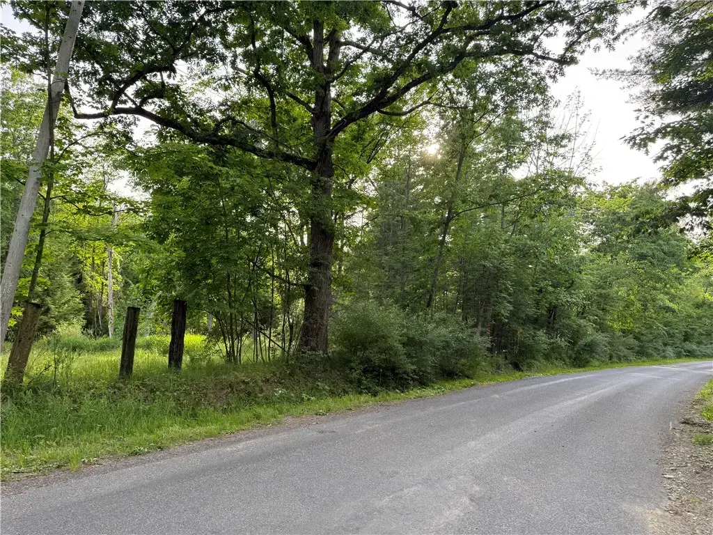 Cronk Hill Road, Caneadea